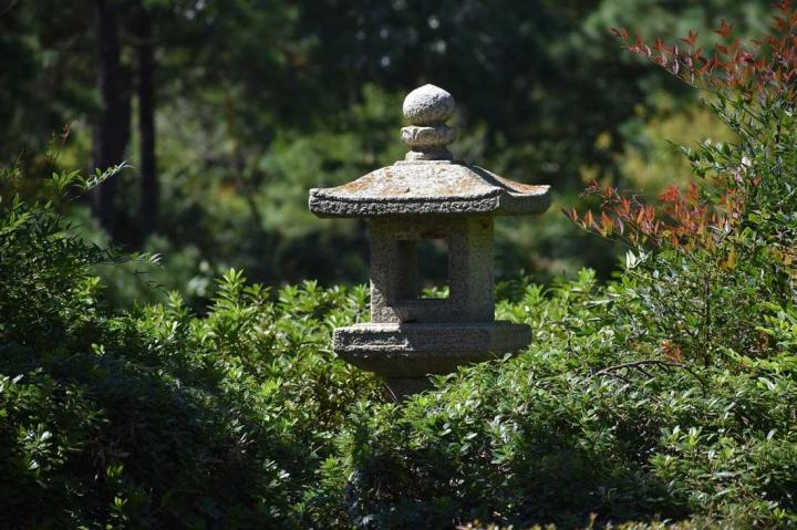 Quels sont les meilleurs matériaux pour les abris de jardin ? Pierrelaye