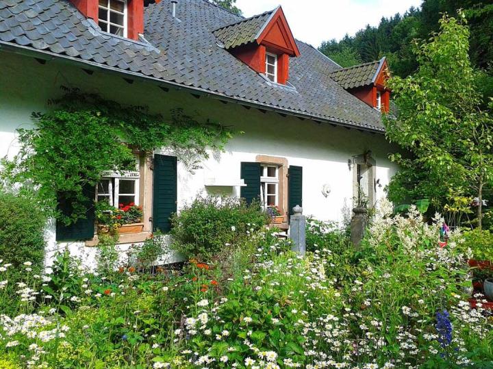 Aménagement de jardin, Le Vésinet