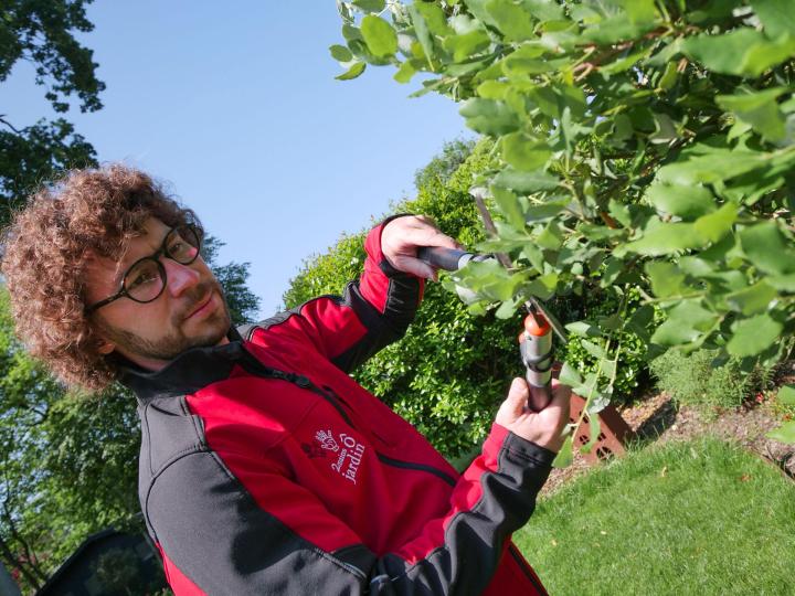 Agencement de parcs et jardins Pierrelaye