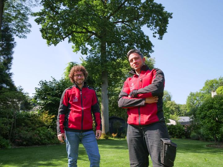 Agencement de parcs et jardins Pierrelaye