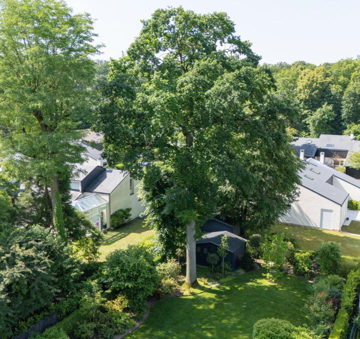 Création de parcs et jardins Pierrelaye
