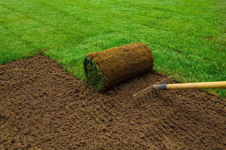 Engazonnement et arrosage Pierrelaye